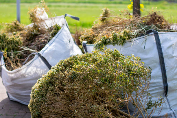 Best Shed Removal  in Holt, MI